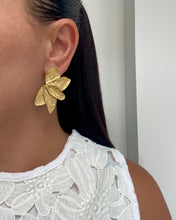 Cargar imagen en el visor de la galería, Aretes Catalina