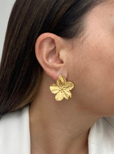 Cargar imagen en el visor de la galería, Aretes Lizzy