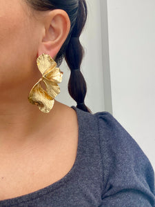 Aretes Galicia