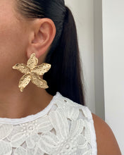 Cargar imagen en el visor de la galería, Aretes Annare
